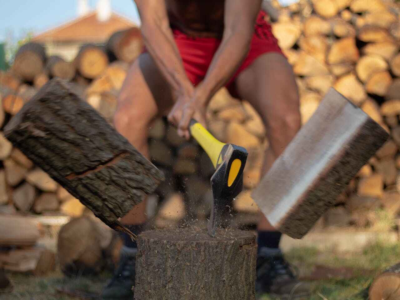 Emergency Storm Tree Removal in Dasher, GA